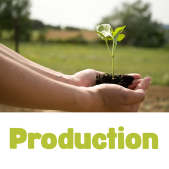 Production