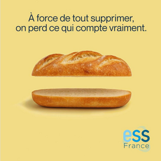 ESS FRance 1