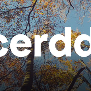 logo-cerdd