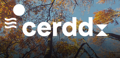 logo-cerdd